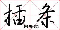 插条怎么写好看