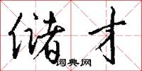 储才怎么写好看