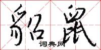 貂鼠怎么写好看