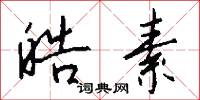 皓素怎么写好看