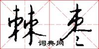 棘枣怎么写好看