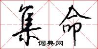 集命怎么写好看