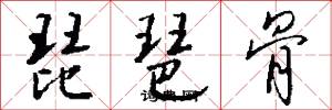 琵琶骨怎么写好看