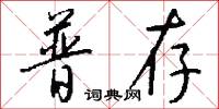普存怎么写好看