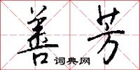 善芳怎么写好看