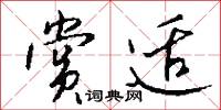 赏适怎么写好看