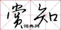 赏知怎么写好看