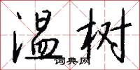 温树怎么写好看