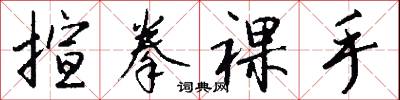 揎拳裸手怎么写好看
