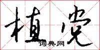 植党怎么写好看