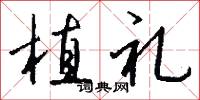 植礼怎么写好看