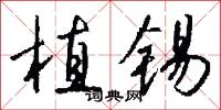 植锡怎么写好看