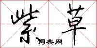 紫草怎么写好看