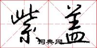 紫盖怎么写好看