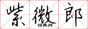 紫微郎怎么写好看