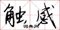 触感怎么写好看