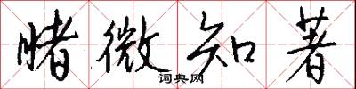 睹微知著怎么写好看