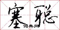 塞聪怎么写好看