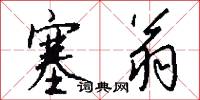 塞翁怎么写好看