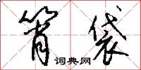 筲袋怎么写好看