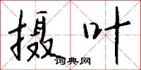 摄叶怎么写好看