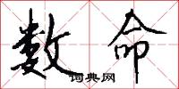 数命怎么写好看