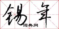 锡年怎么写好看
