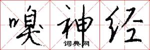 嗅神经怎么写好看