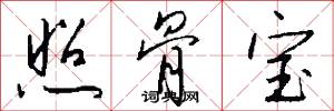 照骨宝怎么写好看