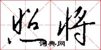 照将怎么写好看