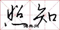 照知怎么写好看