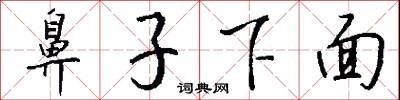 鼻子下面怎么写好看
