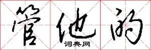 管他的怎么写好看