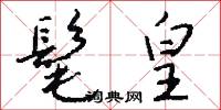 髦皇怎么写好看