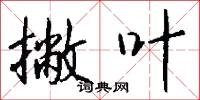 撇叶怎么写好看
