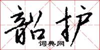 韶护怎么写好看