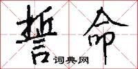誓命怎么写好看