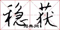 稳获怎么写好看