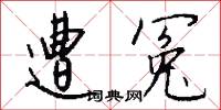 遭冤怎么写好看