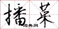 播菜怎么写好看
