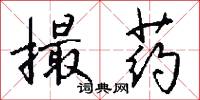 撮药怎么写好看
