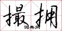 撮拥怎么写好看
