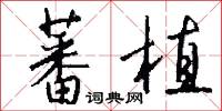 蕃植怎么写好看