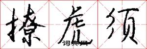 撩虎须怎么写好看