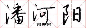 潘河阳怎么写好看