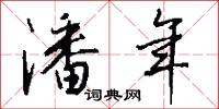 潘年怎么写好看