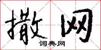 撒网怎么写好看