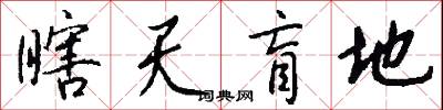 瞎天盲地怎么写好看