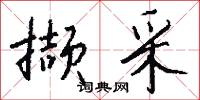 撷采怎么写好看