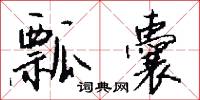 瓢囊怎么写好看